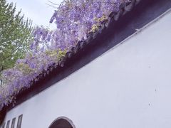 -拙政园