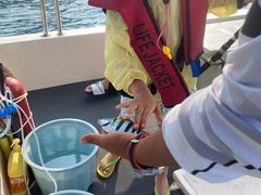 -小猫钓鱼海钓俱乐部(椰梦长廊店)