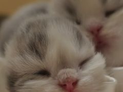 -竺桥兄弟烤鸭馆(竺桥店)