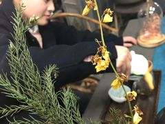-扫雪煮茶(西村店)