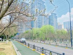 -西北湖绿化广场