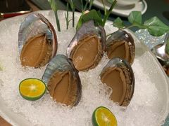 手工冰镇鲍鱼-木棉·醉心粤味(COCO Park店)