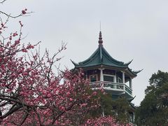 -无锡梅园公园