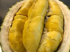 -都念榴莲·城市榴莲