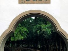 -西湖外事游船(花港观鱼码头)