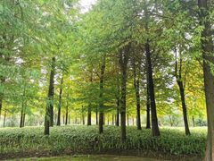 -贵阳市花溪国家城市湿地公园