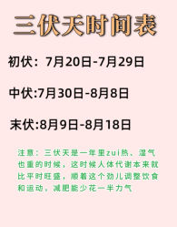 -Fundi张玉珊修身堂·indiba·BTL科技瘦身