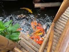 -上海大自然野生昆虫馆