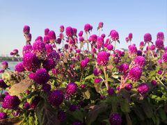 -相门城墙文化休闲景区