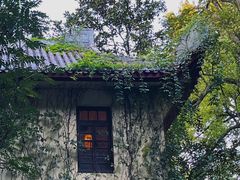 -岳麓山风景名胜区