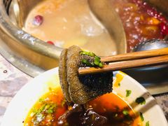 极品鲜毛肚-小龙坎老火锅(北京三里屯店)