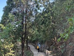 -鬼笑石后山停车场