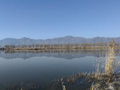 -野鸭湖国家湿地公园