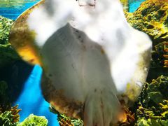 -福州罗源湾海洋世界旅游区