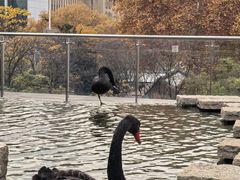 -行者书屋大堂吧 ·下午茶(南京圣和府邸酒店)