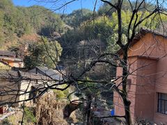 -杨家堂村