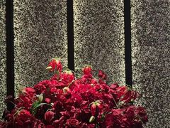 -淮香国色·淮扬菜(正大中心店)
