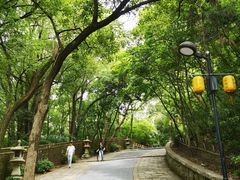 -灵岩山风景区