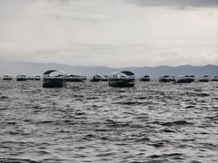 -抚仙湖禄充风景区