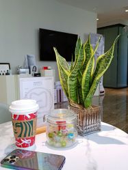 -来美轻医美抗衰中心