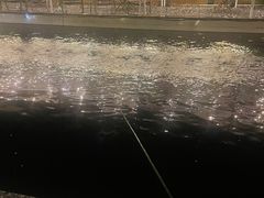 -DGE季风钓虾营地·团建·聚会