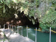 -怀托摩萤火虫洞