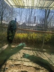 -萌宠亲子动物乐园(槐房万达店)