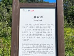 -白草畔自然风景区