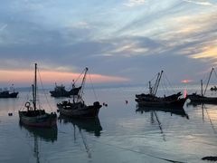 -东辰望海鱼码头·海鲜餐厅