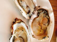 苏格兰生蚝-万德诺富特酒店·自助餐厅(万德大厦店)