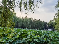 -北陵公园