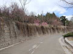 -北京鹫峰国家森林公园