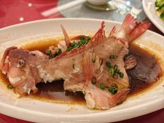 -金满楼(天河中路店)