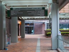 -香港大学