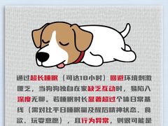 -翊宠yipet猫狗购宠庄园犬舍•猫舍