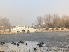 -长春市南湖公园