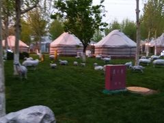 -九十九顶毡房(阜石路店)