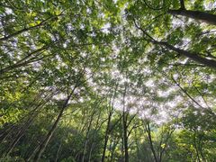 -白草畔自然风景区