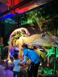 -恐龙探索乐园(磁器口店)