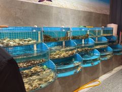 -蓝珊海鲜澳洲和牛自助餐厅