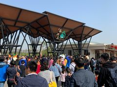 -上海长兴岛郊野公园