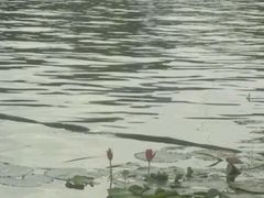 -晓港公园