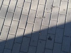 -抚顺美食·老上海味道