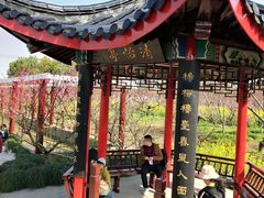 -南汇桃花村
