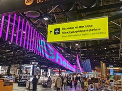 -谢列梅捷沃国际机场