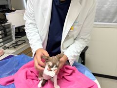 -美联众合动物医院·24h京西诊疗中心