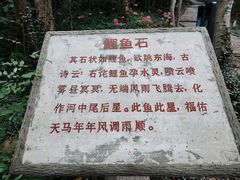 -上海佘山国家森林公园天马山园