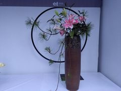 -重庆市江北嘴中央商务区中央公园