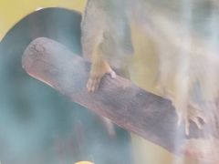 -荆州中山公园动物园