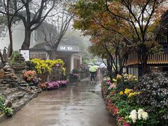 -MAMACHA妈妈茶(岳麓山店)